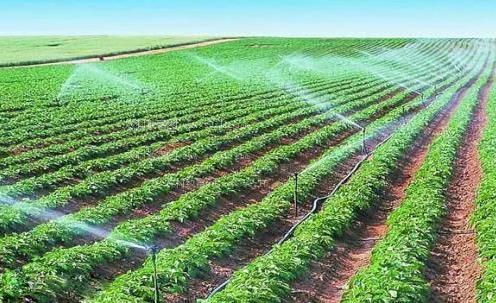 想肏骚屄了农田高 效节水灌溉